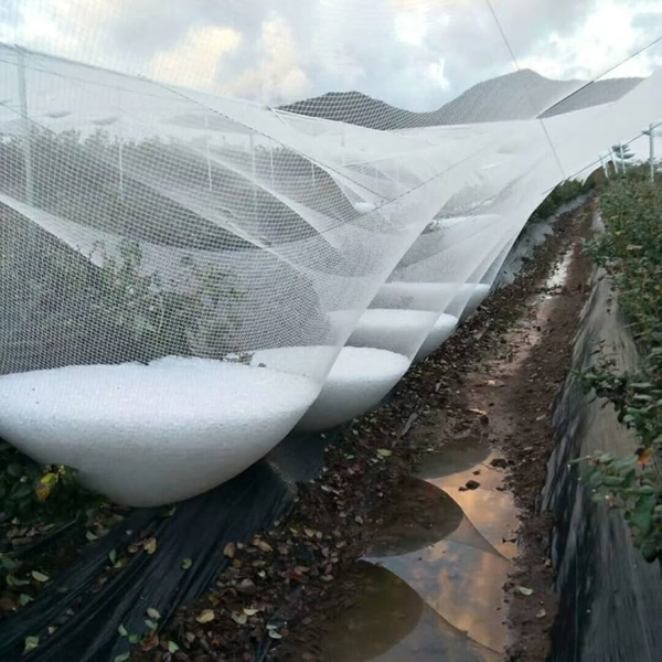 Anti-Tear Storm Safe Orchard HDPE Hail Protection Net