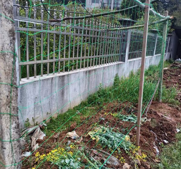 Heavy-Duty HDPE Climbing Plants Net for Greenhouse Vertical Growing