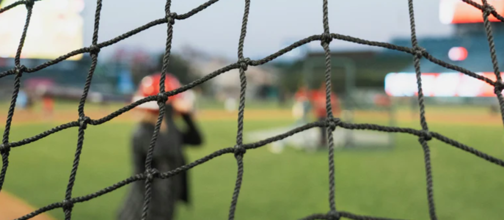 UV Stabilizers in Sports Netting: A Comprehensive Guide to Longevity 23 image 17