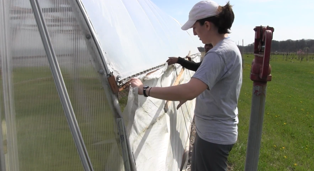 The 7-Point Practical Checklist — Greenhouse Netting 101: A Comprehensive Guide for Commercial Growers 13 image 195