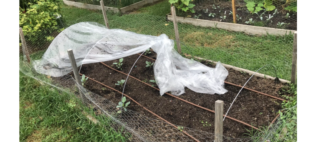 The 7-Point Practical Checklist — Greenhouse Netting 101: A Comprehensive Guide for Commercial Growers 16 image 213
