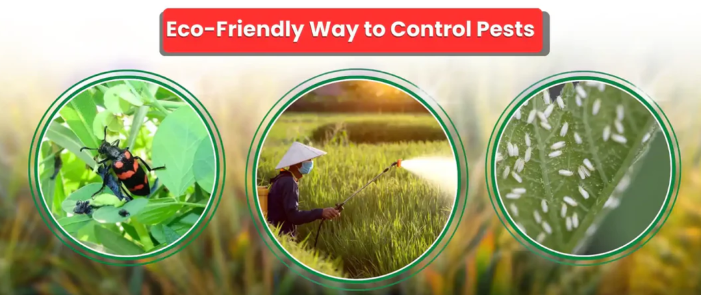 The 7-Point Practical Checklist — Greenhouse Netting 101: A Comprehensive Guide for Commercial Growers 3 image 271