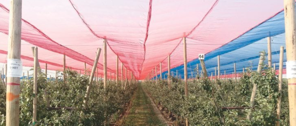 A 5-Step Buyer's Guide to Protecting Your Orchard: Netting Strategies for Apple and Cherry Trees 15 image 315