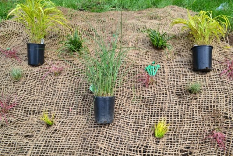 The Grower's Guide to Combining Irrigation Systems with Mulch Nets 1 image 352