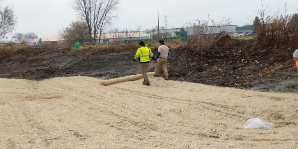 The Grower's Guide to Combining Irrigation Systems with Mulch Nets 5 image 356