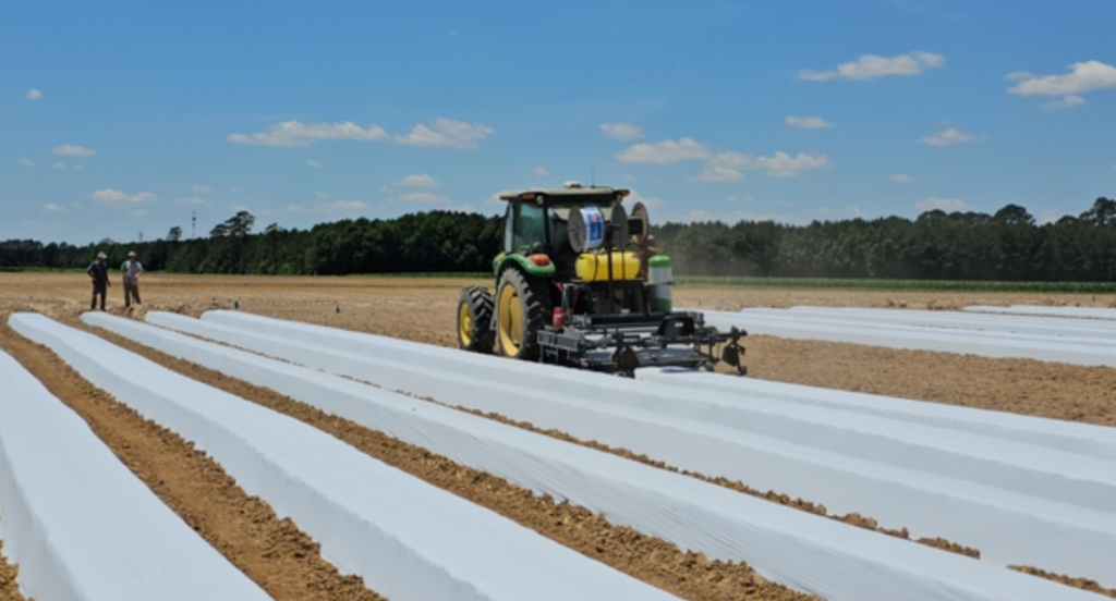 The Grower's Guide to Combining Irrigation Systems with Mulch Nets 8 image 359