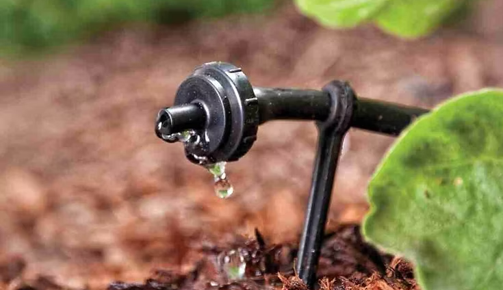 The Grower's Guide to Combining Irrigation Systems with Mulch Nets 14 image 365