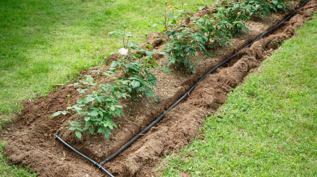 The Grower's Guide to Combining Irrigation Systems with Mulch Nets 15 image 366