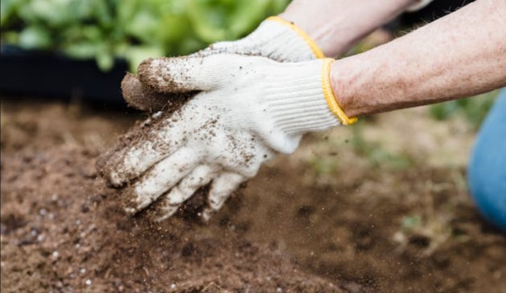 The Grower's Guide to Combining Irrigation Systems with Mulch Nets 34 image 385