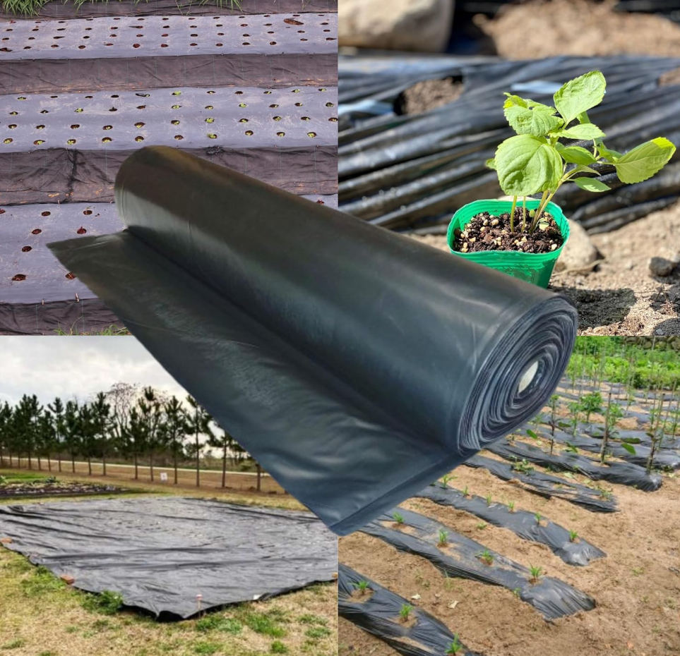 The Grower's Guide to Combining Irrigation Systems with Mulch Nets 39 image 391