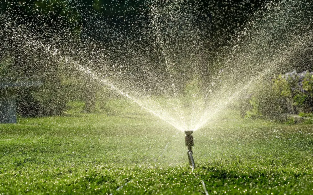 The Grower's Guide to Combining Irrigation Systems with Mulch Nets 41 image 393