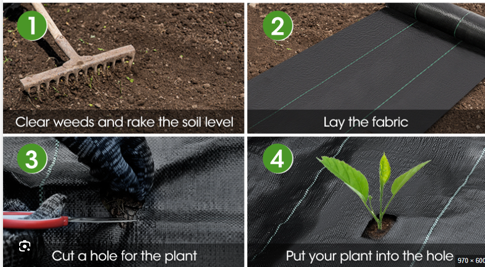 The Grower's Guide to Combining Irrigation Systems with Mulch Nets 42 image 394