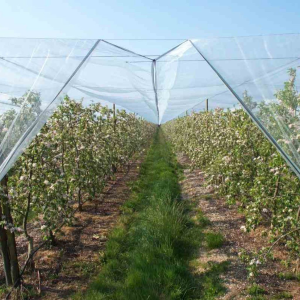 Reliable Hail Protection Net for Orchards & Crops