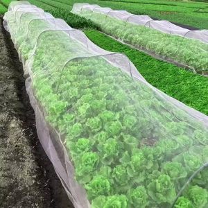 Cuttable Fine Mesh Insect Netting for Vegetable, Crop, and Plant Protection