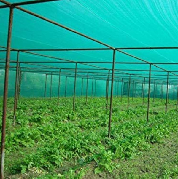 Durable Shade Net Solutions to Improve Yield and Reduce Heat Stress